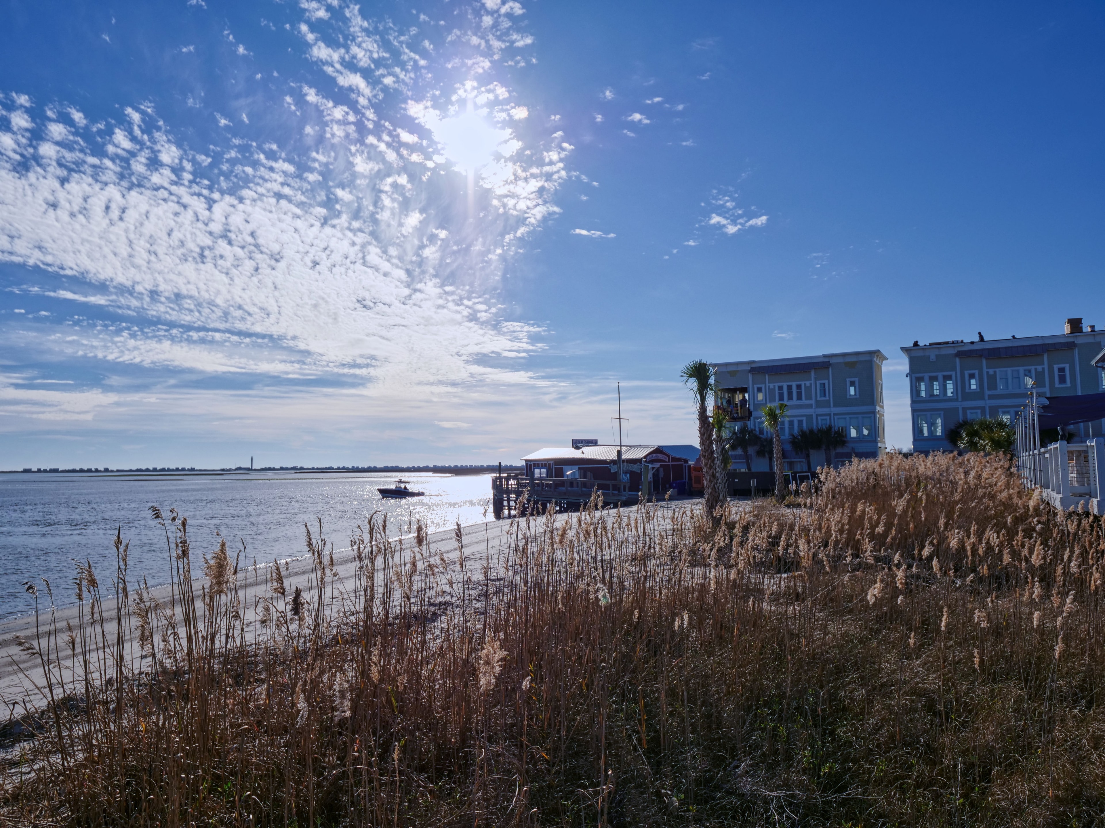 Southport Waterfront — Sea Oats